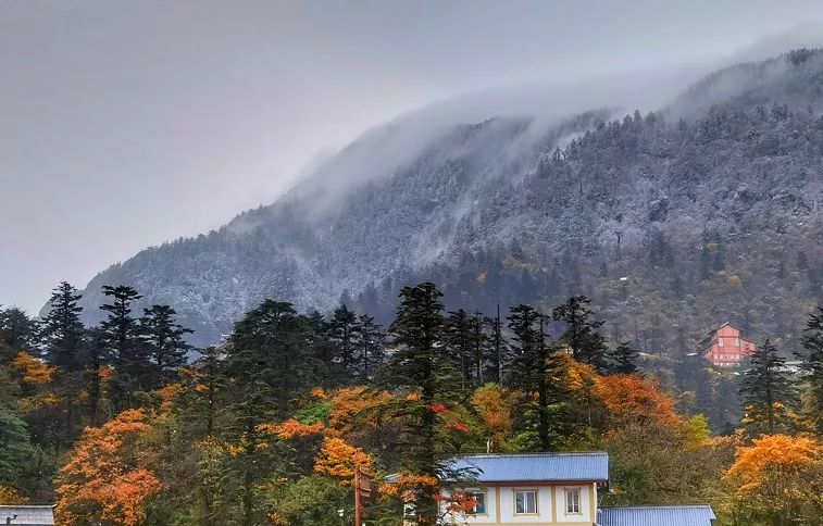 峨眉山下雪了嗎2020 峨眉山下雪能看到日出嗎