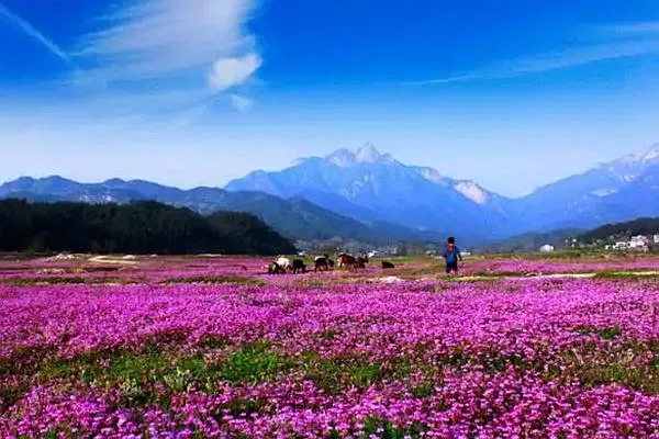 羅田燕兒谷景區(qū)游玩攻略 門票、住宿、最佳游玩時(shí)間都在這了