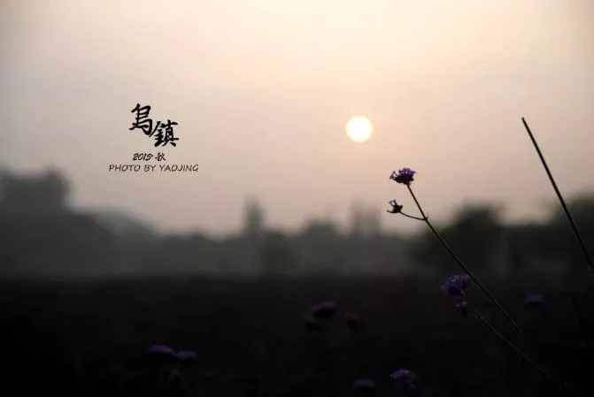 烏鎮(zhèn)有哪些好玩的景點(diǎn) 烏鎮(zhèn)哪里好玩