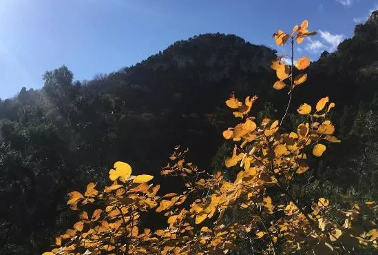 上方山游記 上方山好玩嗎