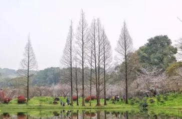 武漢有什么旅游景點 武漢三日游攻略