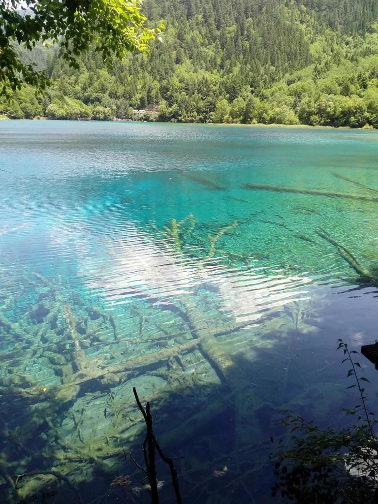 九寨溝8月份去好嗎 九寨溝8月旅游攻略