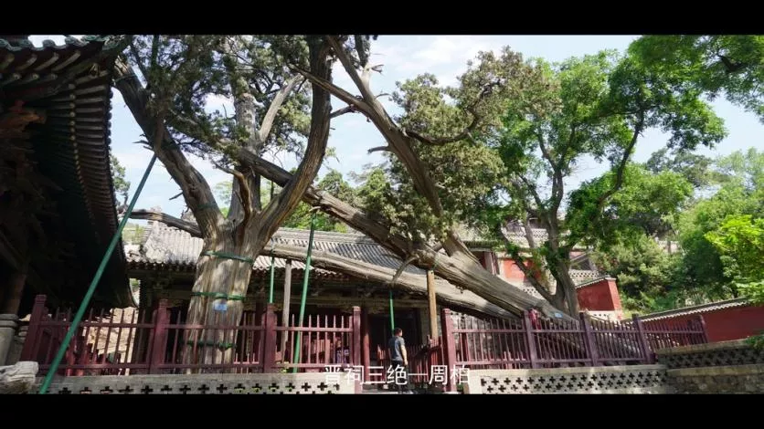 太原有什么旅游景點 太原風景好的旅游景點有哪些