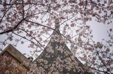 武漢有什么旅游景點 武漢三日游攻略