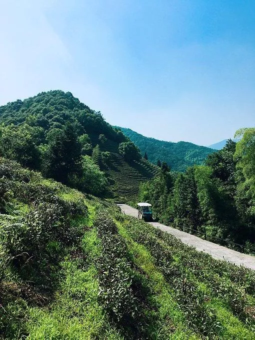 莫干山有什么好玩的 莫干山有哪些旅游景點