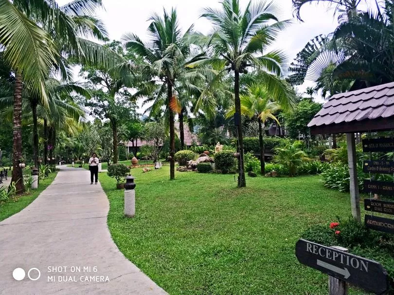 泰國芭提雅-象島-曼谷-清邁自駕游攻略