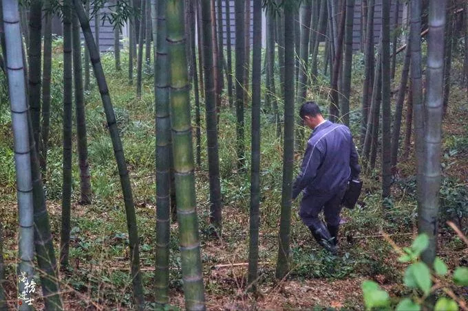 莫干山有什么好玩的 莫干山有哪些旅游景點