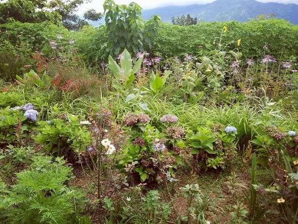 尼泊爾旅游安全嗎 尼泊爾最近旅游安全嗎