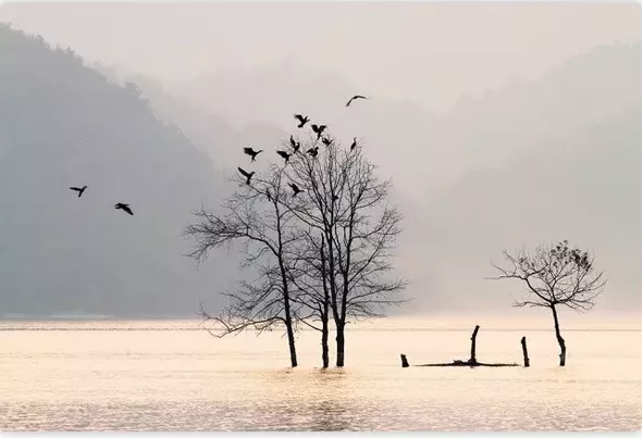 浦江通濟(jì)湖好玩嗎 浦江通濟(jì)湖哪里拍照好