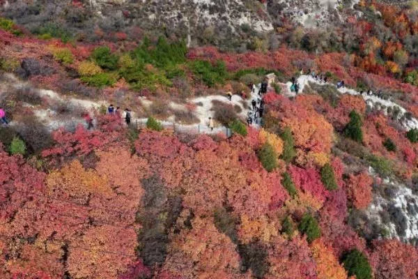 太原周邊賞紅葉的地方有哪些