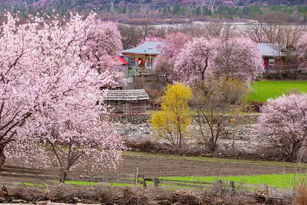 春季自駕旅游最佳去處 春季<a href='/zijiayouluxiantuijian/' target=_blank>自駕游路線推薦</a>2021