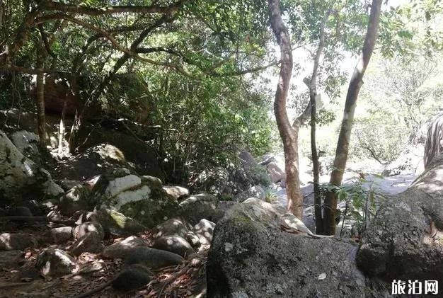 馬巒山徒步登山一日游攻略