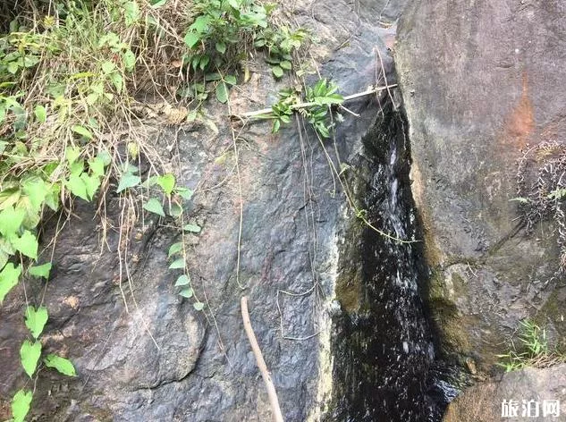 東莞水濂山森林公園有什么好玩的 游玩攻略