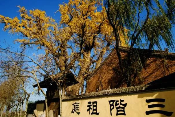 西安哪個(gè)寺廟有銀杏樹