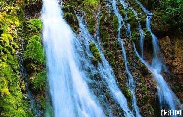 王府竹海景區(qū)怎么樣 王府竹海景區(qū)好玩嗎