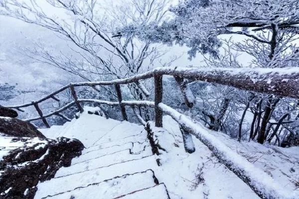 黃山風(fēng)景區(qū)下雪了嗎2021 黃山風(fēng)景區(qū)冬天封山嗎