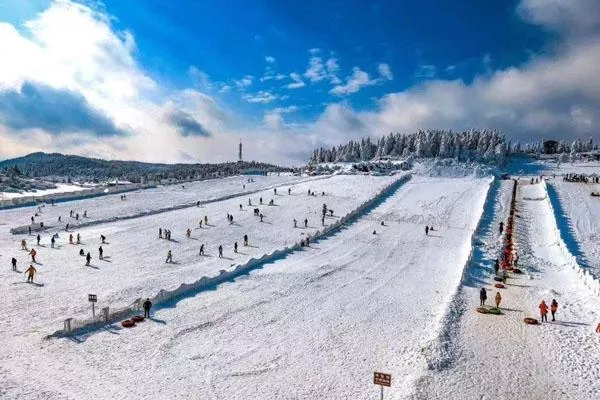 仙女山滑雪場怎么去 具體地址