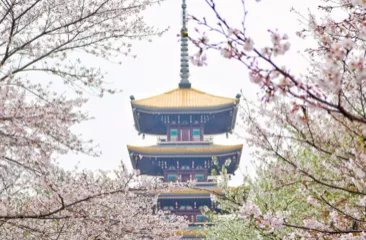 武漢有什么旅游景點 武漢三日游攻略