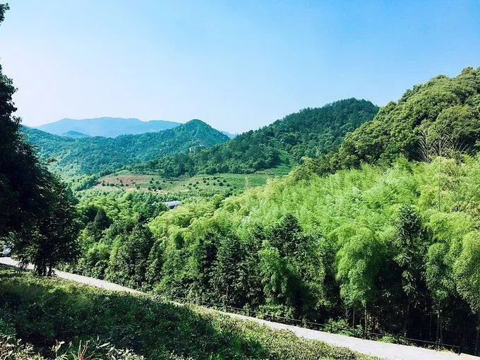 莫干山有什么好玩的 莫干山有哪些旅游景點