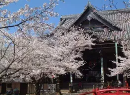 日本琵琶湖有什么好玩的 琵琶湖有哪些景點