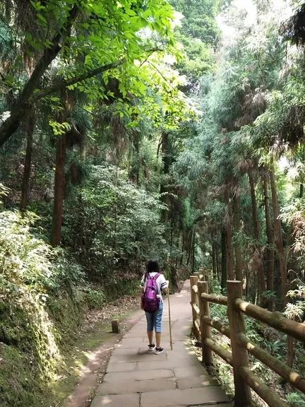 峨眉山有哪些景點(diǎn) 峨眉山有哪些寺廟