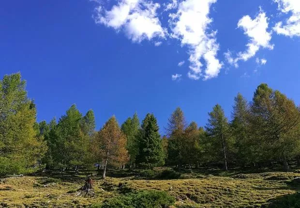 巴里坤游記 巴里坤景點(diǎn)介紹