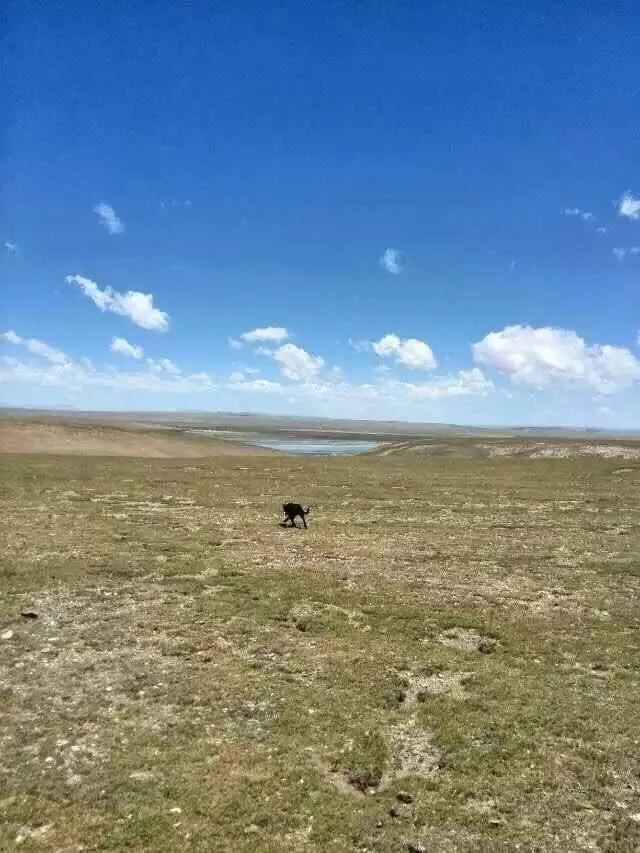 西藏自駕游旅游線路圖 西藏自駕游規(guī)劃