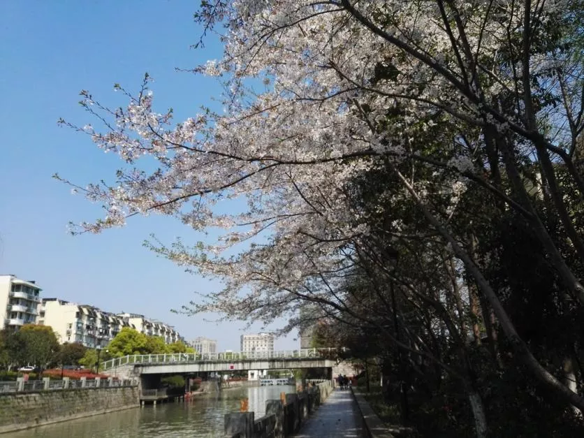 京杭古運(yùn)河好玩兒嗎