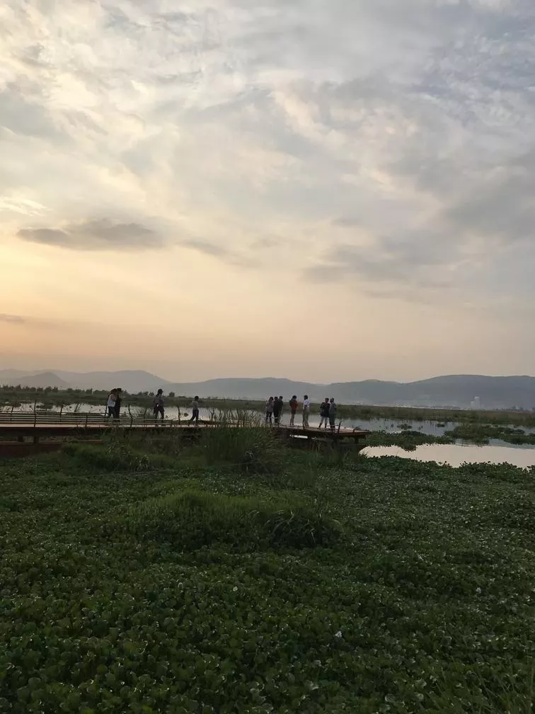 杞麓湖國(guó)家濕地公園自助旅游攻略