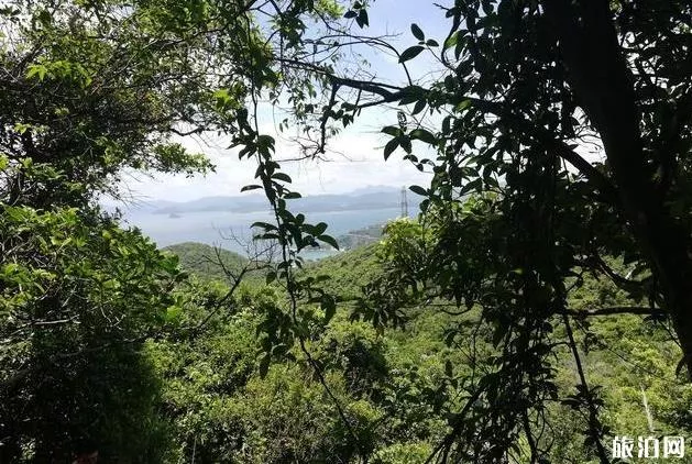 馬巒山徒步登山一日游攻略