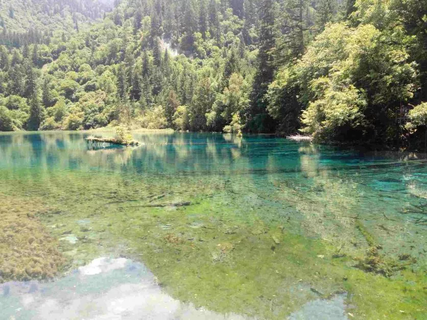 九寨溝8月份去好嗎 九寨溝8月旅游攻略