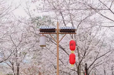 武漢有什么旅游景點 武漢三日游攻略