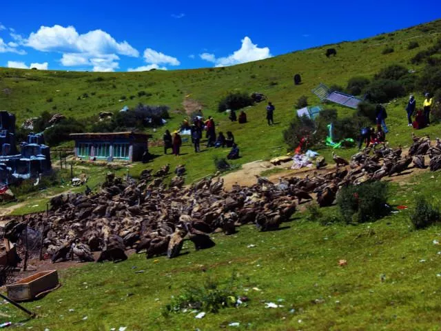 色達五明佛學(xué)院旅游攻略