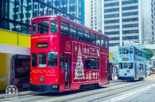 香港旅游注意事項 去香港哪里好玩