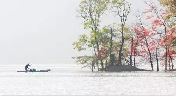 浦江通濟(jì)湖好玩嗎 浦江通濟(jì)湖哪里拍照好