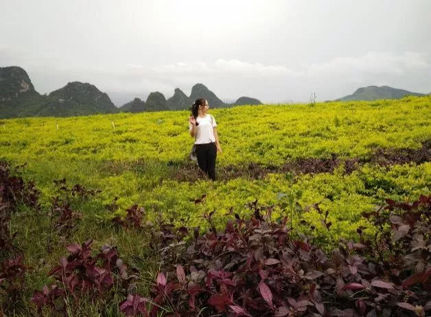 廣東英德旅游攻略 英德自駕游攻略