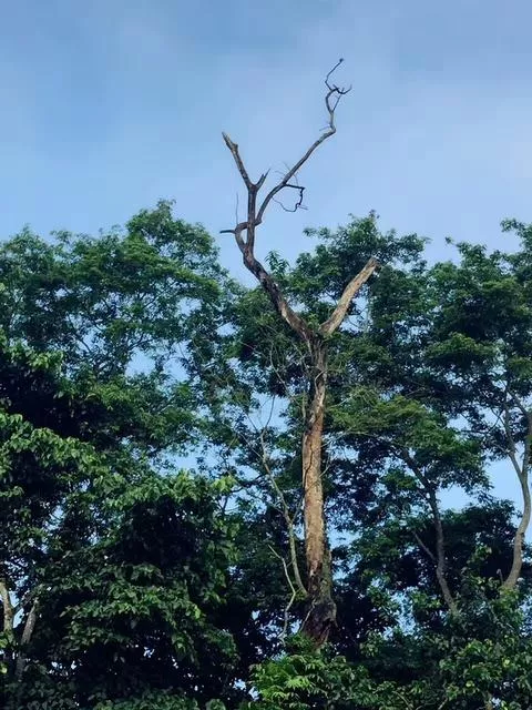 尼泊爾旅游安全嗎 尼泊爾最近旅游安全嗎