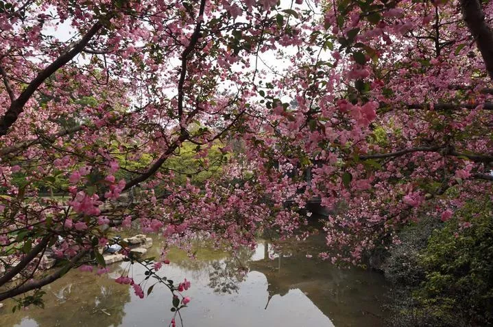 錫惠公園門票  錫惠公園門票多少錢