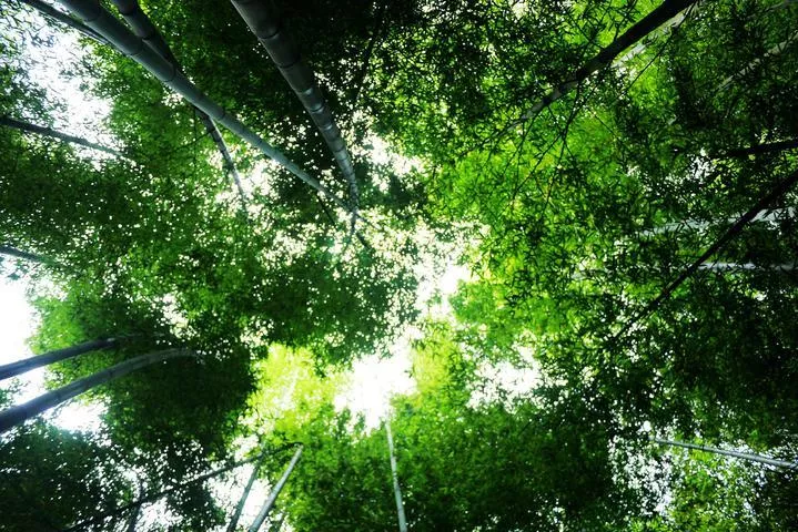 圣井山在哪里  怎么去圣井山  圣井山漂流好玩嗎