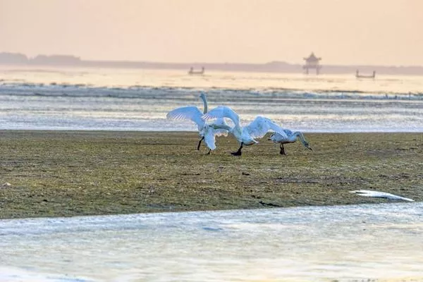 上海金山城市沙灘游玩攻略