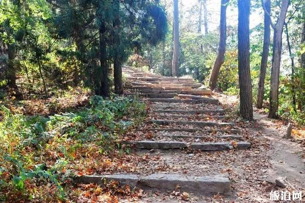 雞公山游玩攻略 雞公山風景區(qū)旅游攻略詳細版