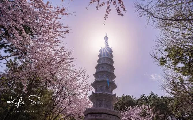 釜山旅游攻略 韓國釜山旅游詳細攻略