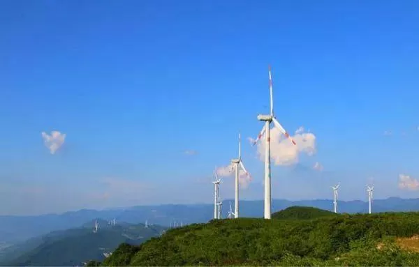 武隆區(qū)春游踏青好去處推薦 賞花、摘草莓等玩法都有哦