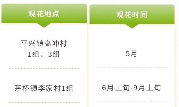 四川樂山市市中區(qū)春日賞花指南 附詳細花類、賞花地址、賞花時間