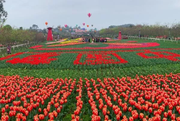 墊江牡丹花最佳時(shí)間2023 牡丹花節(jié)時(shí)間