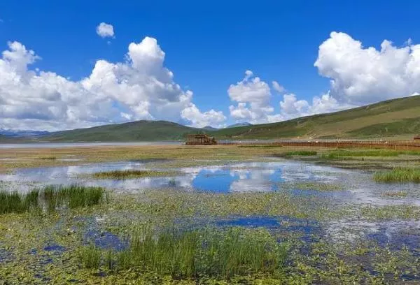 甘南夏天旅游景點推薦