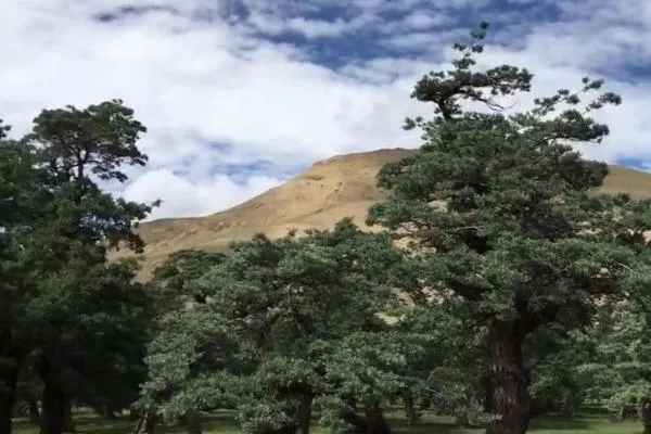 西藏錯那旅游景點介紹